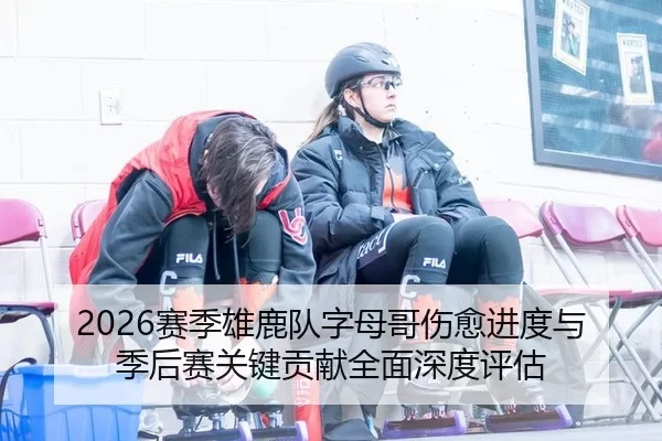 2026赛季雄鹿队字母哥伤愈进度与季后赛关键贡献全面深度评估