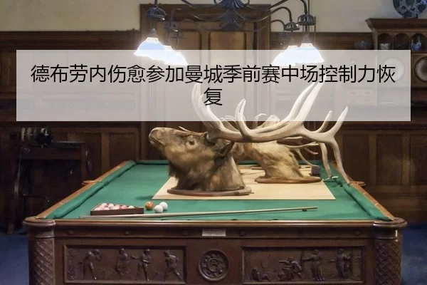 de-bu-lao-nei-shang-yu-can-jia-man-cheng-ji-qian-sai-zhong-chang-kong-zhi-li-hui-fu-2-341.jpg